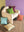 Fern Block Colour Cotton Cushion Cover
