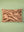 Mocha Swirl Embroidered Cushion Cover