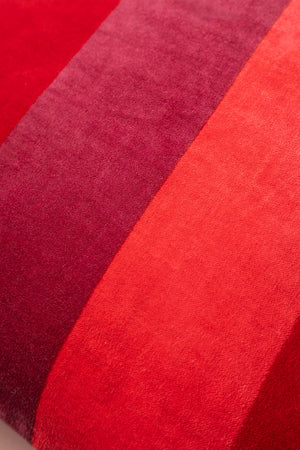 Petal Striped Velvet Cushion Cover