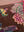 Cosmos Floral Velvet Cushion Cover