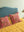 Dusty Rose Velvet Flower Embroidered Cushion Cover