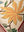 White Garden Embroidered Cushion Cover