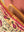Pink on Buttermilk Floral Velvet Embroidered Cushion Cover