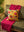 Yellow Embroidered Floral Cushion Cover