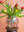Cheena Round Hurricane Vase