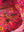 Cerise Bird of Paradise Velvet Armchair