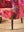 Cerise Bird of Paradise Velvet Armchair