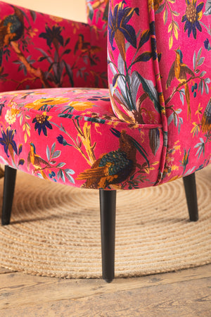 Cerise Bird of Paradise Velvet Armchair