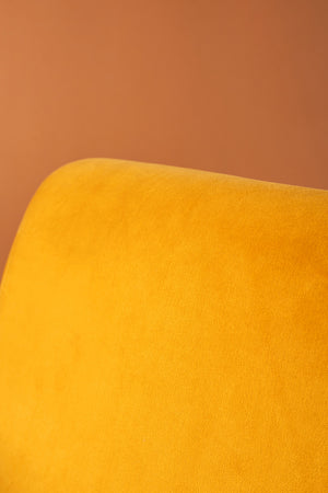 Honey Gold & Lemonade Colourblock Velvet Chair