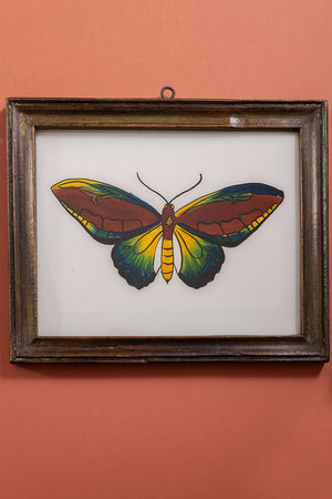 Large Old Wood Frame with Botanical/Wildlife Painting - 387
