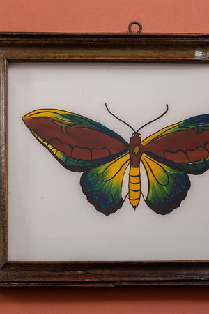 Large Old Wood Frame with Botanical/Wildlife Painting - 387