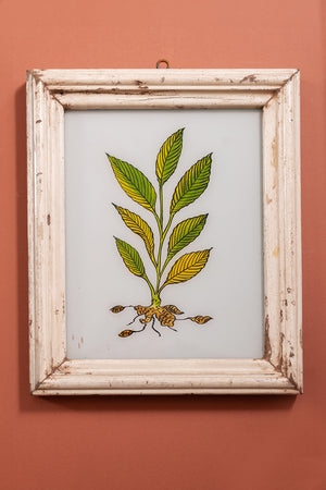 Large Old Wood Frame with Botanical/Wildlife Painting - 390