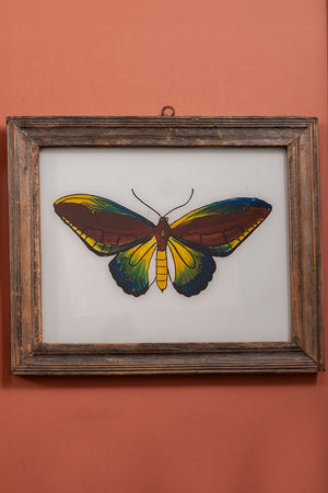 Large Old Wood Frame with Botanical/Wildlife Painting - 393
