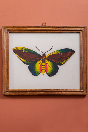 Large Old Wood Frame with Botanical/Wildlife Painting - 398