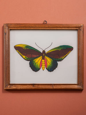 botantical painting