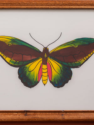 botantical painting