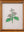 botantical painting
