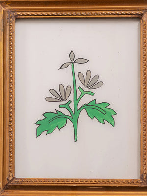 botantical painting