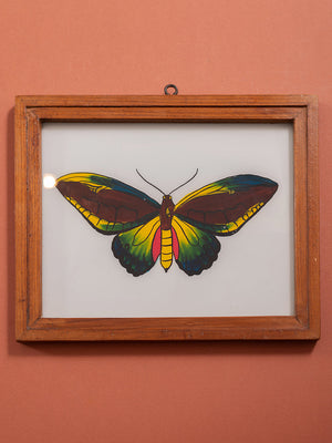 botantical painting