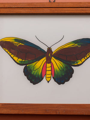 botantical painting