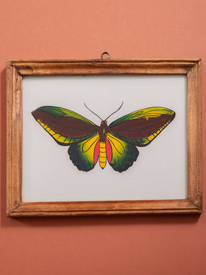 botantical painting
