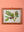Large Old Wood Frame with Botanical/Wildlife Painting - 491