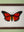 framed painting