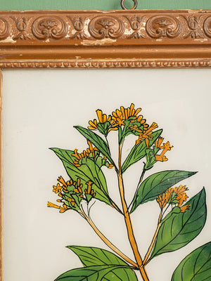 framed painting