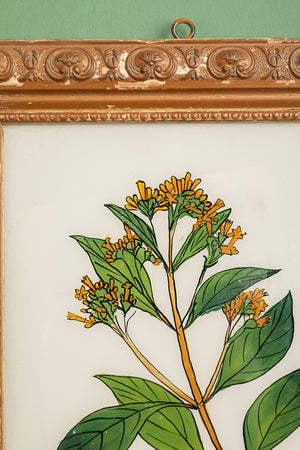 framed painting