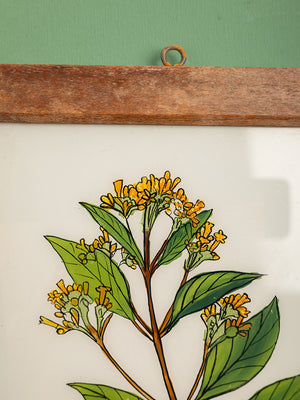 framed painting