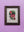 Medium Old Wood Frame with Botanical/Wildlife Painting - 605