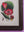 Medium Old Wood Frame with Botanical/Wildlife Painting - 605