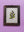 botanical painting