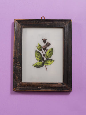botanical painting