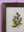 botanical painting