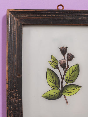 botanical painting