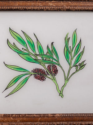 botanical painting