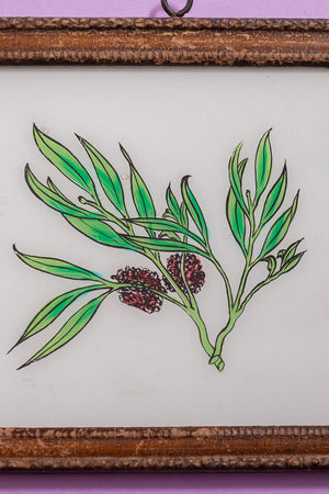 botanical painting