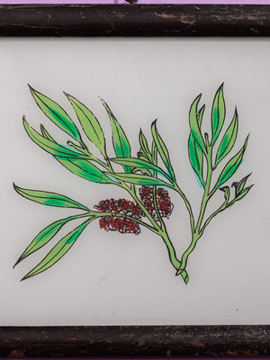 botanical painting