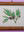 botanical painting