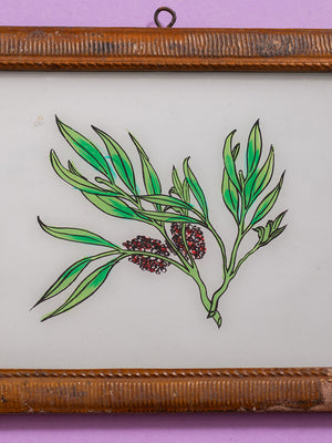 botanical painting