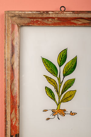 Medium Old Wood Frame with Botanical/Wildlife Painting - 687