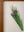 Medium Old Wood Frame with Botanical/Wildlife Painting - 692