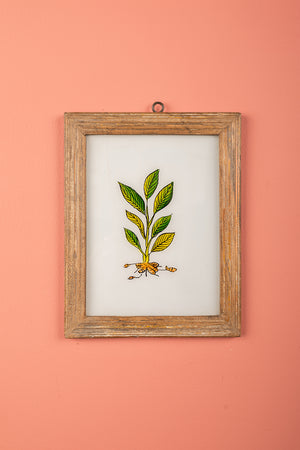Medium Old Wood Frame with Botanical/Wildlife Painting - 695