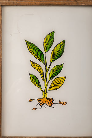 Medium Old Wood Frame with Botanical/Wildlife Painting - 695