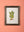 Medium Old Wood Frame with Botanical/Wildlife Painting - 706