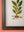 Medium Old Wood Frame with Botanical/Wildlife Painting - 706