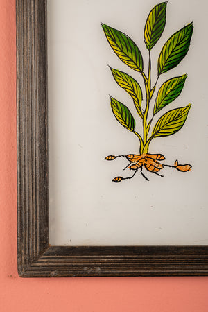 Medium Old Wood Frame with Botanical/Wildlife Painting - 706