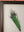 Medium Old Wood Frame with Botanical/Wildlife Painting - 715