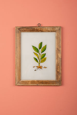 Medium Old Wood Frame with Botanical/Wildlife Painting - 716